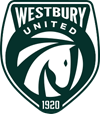 Club badge