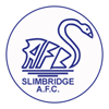 Club badge