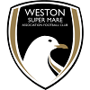 Club badge