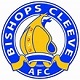 Club Badge