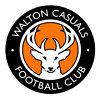 Club badge